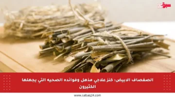 الصفصاف الأبيض: كنز علاجي مذهل وفوائده الصحية التي يجهلها الكثيرون